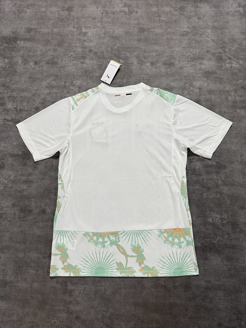 Ivory Coast away Fans Version - 3
