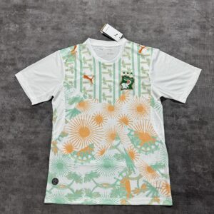 Ivory Coast away Fans Version