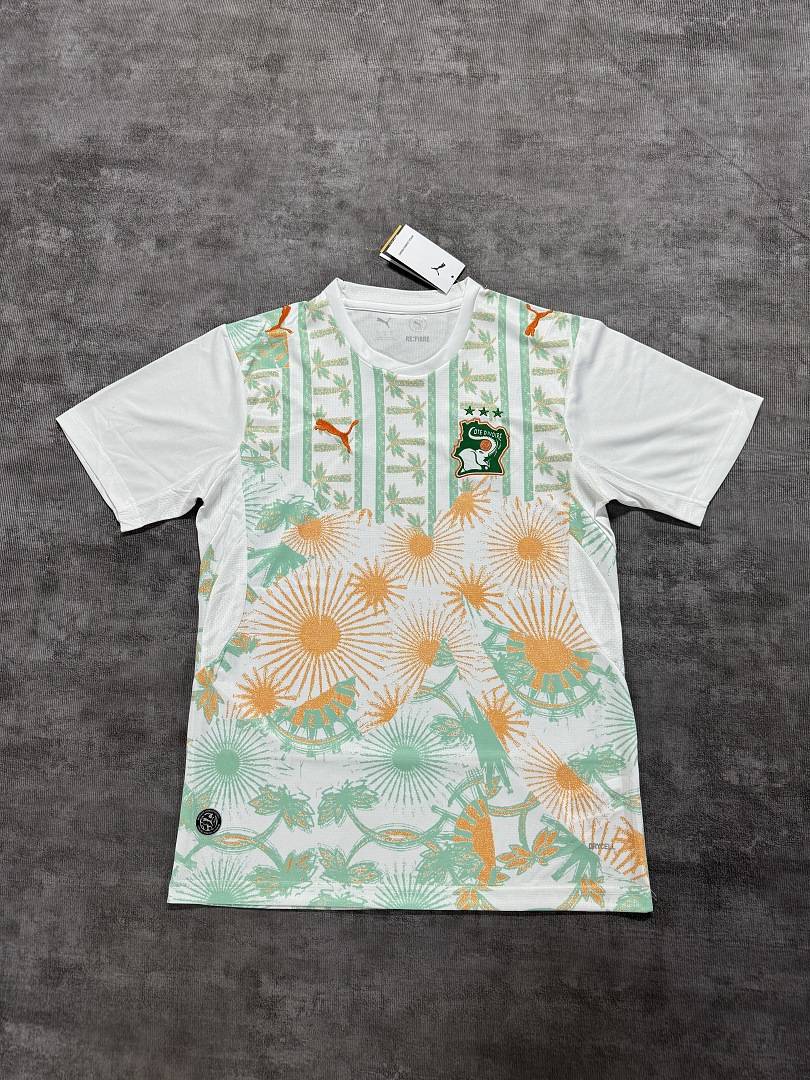 Ivory Coast away Fans Version