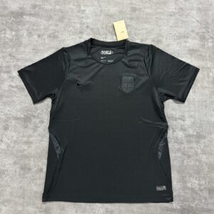 Norway away Fans Version