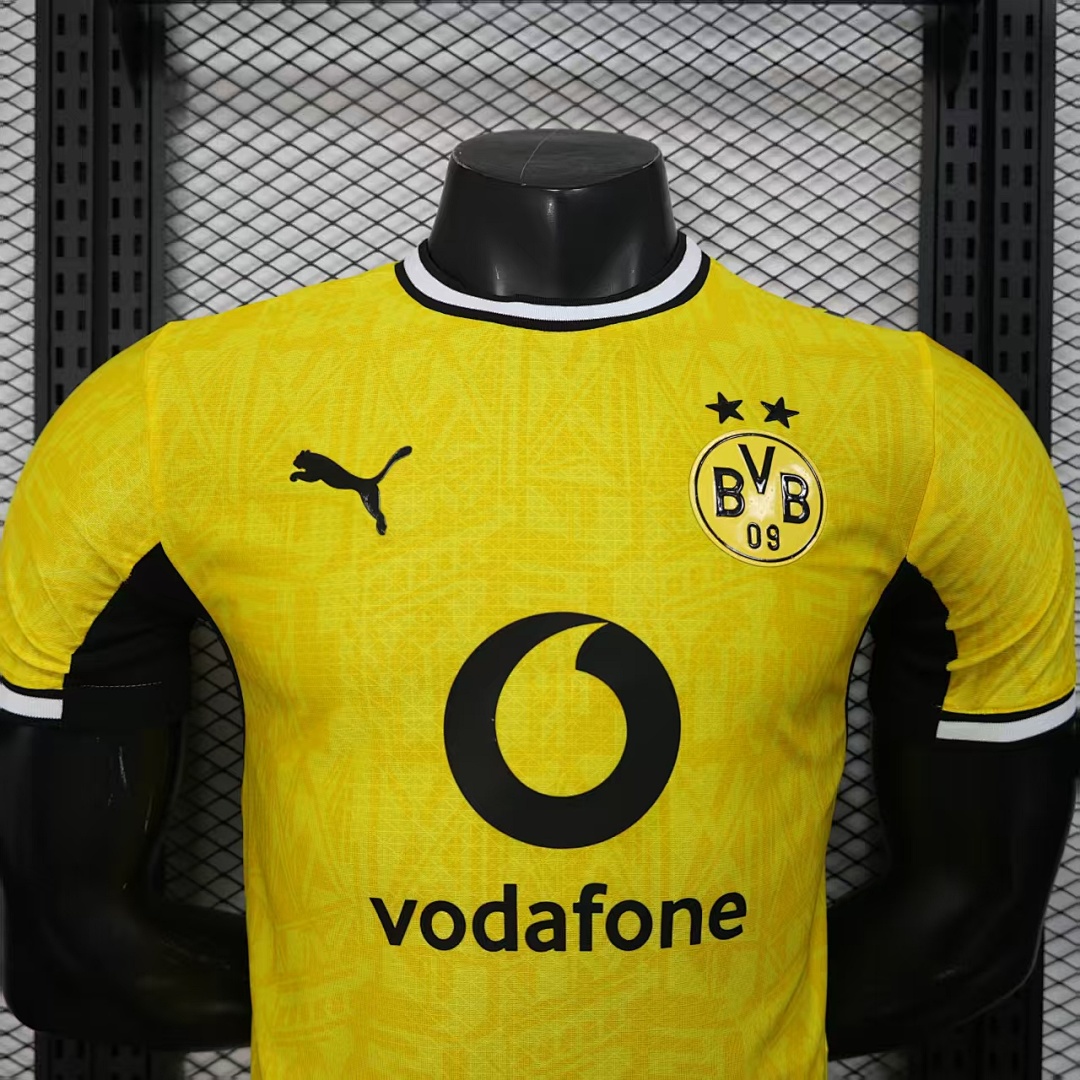Dortmund home Player Version - 10