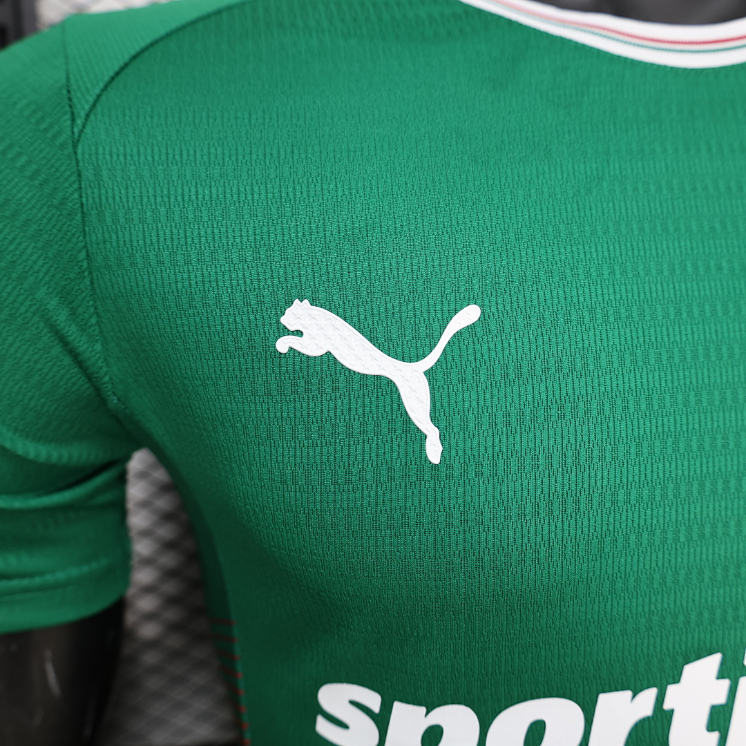 Palmeiras home Player Version - 8