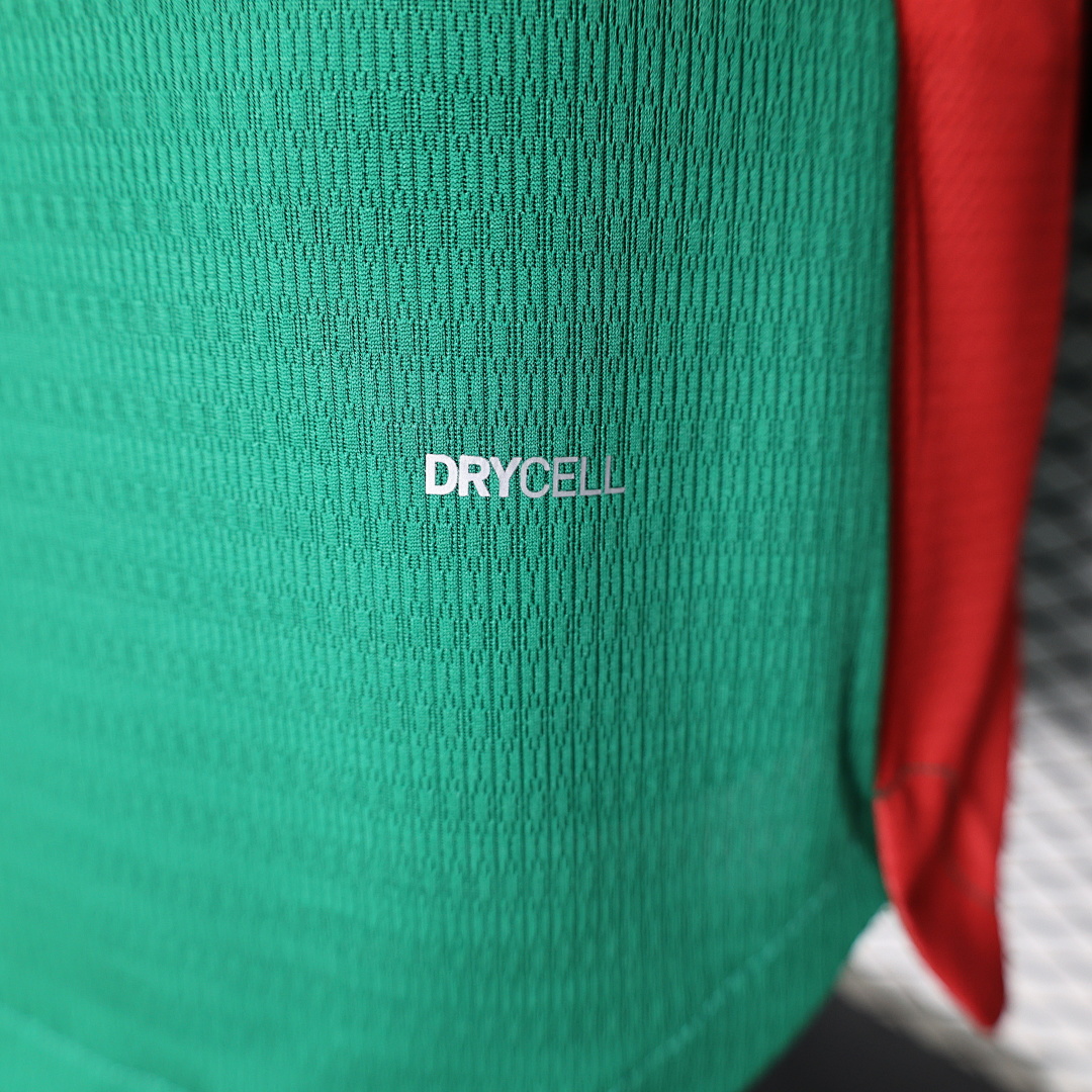 Palmeiras home Player Version - 4