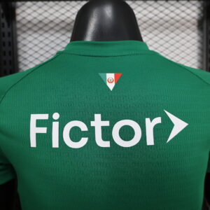 Palmeiras home Player Version