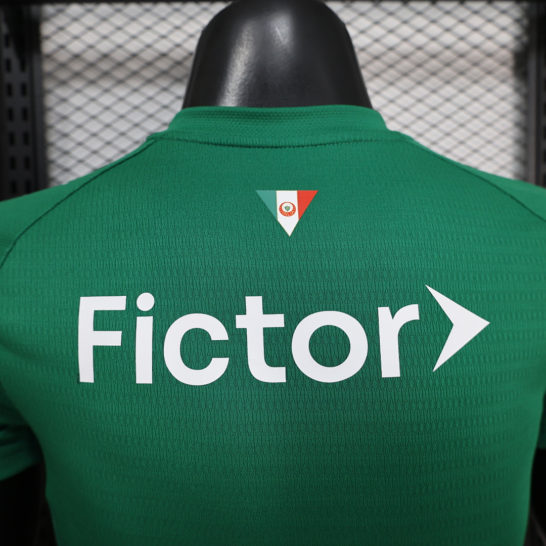 Palmeiras home Player Version