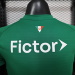 Palmeiras home Player Version - 12