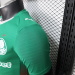 Palmeiras home Player Version - 18
