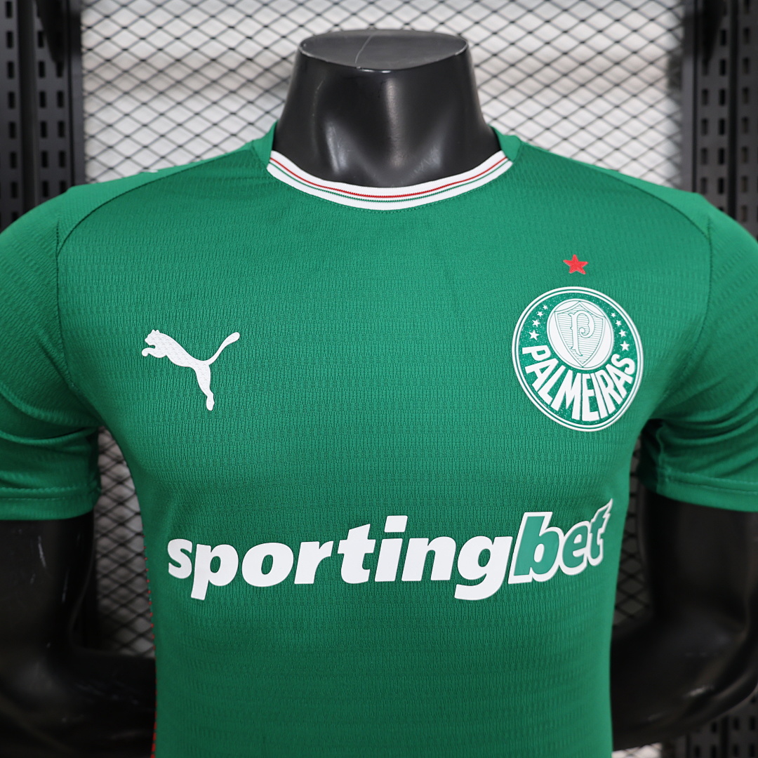 Palmeiras home Player Version - 10