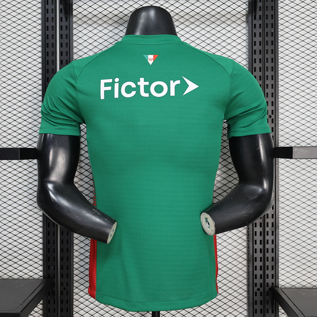 Palmeiras home Player Version - 2