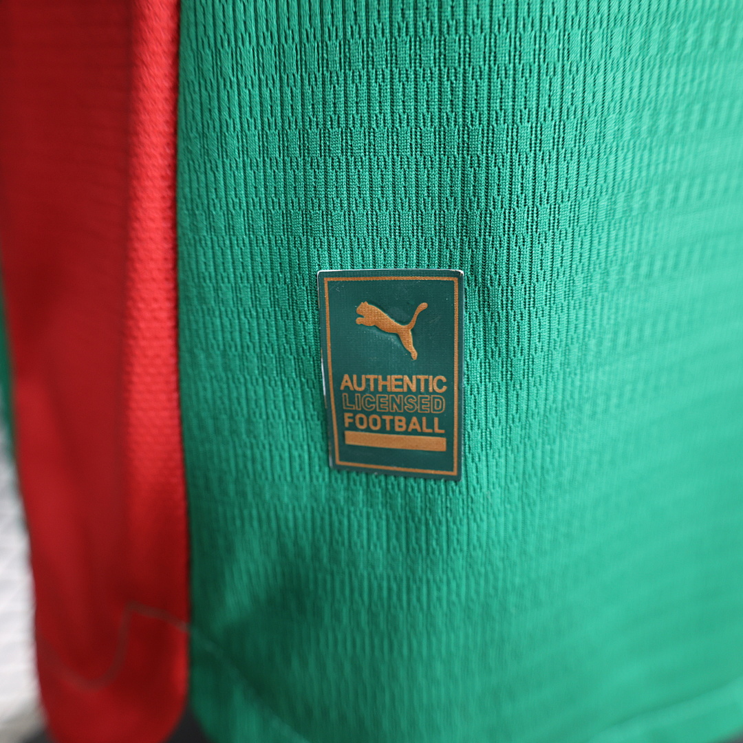 Palmeiras home Player Version - 3