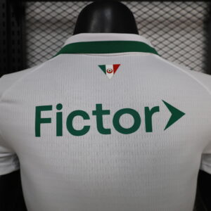 Palmeiras away Player Version