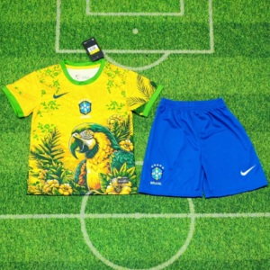 Brazil Parrot Kids Kit