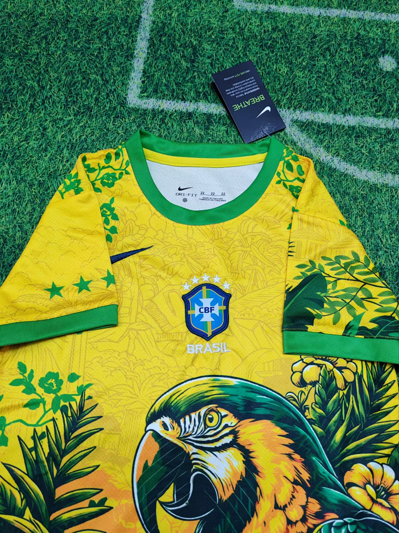 Brazil Parrot Kids Kit - 3